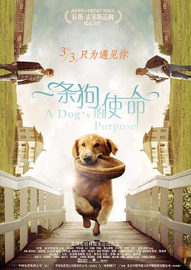 国产亚洲精品一区二区